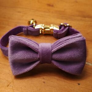 Purple Velvet Bow Cat Collar with Gold Bell and Breakaway Closure NWOT